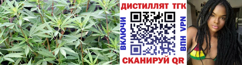 гидра зеркало  Чудово  Дистиллят ТГК концентрат  наркошоп 